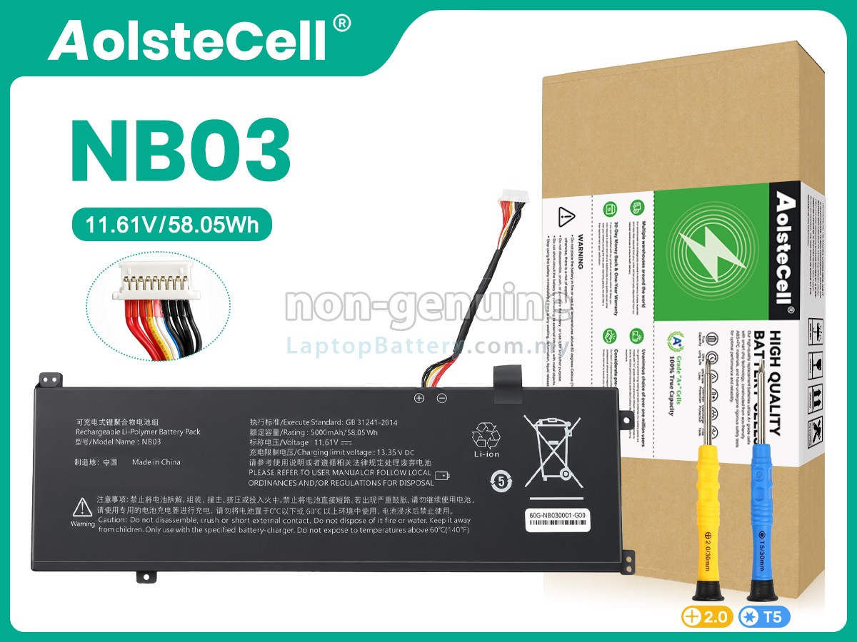 AolsteCell RTX replacement battery