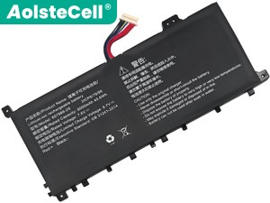 AolsteCell 607986-2S battery