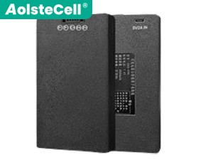 AolsteCell ZNS-09H battery