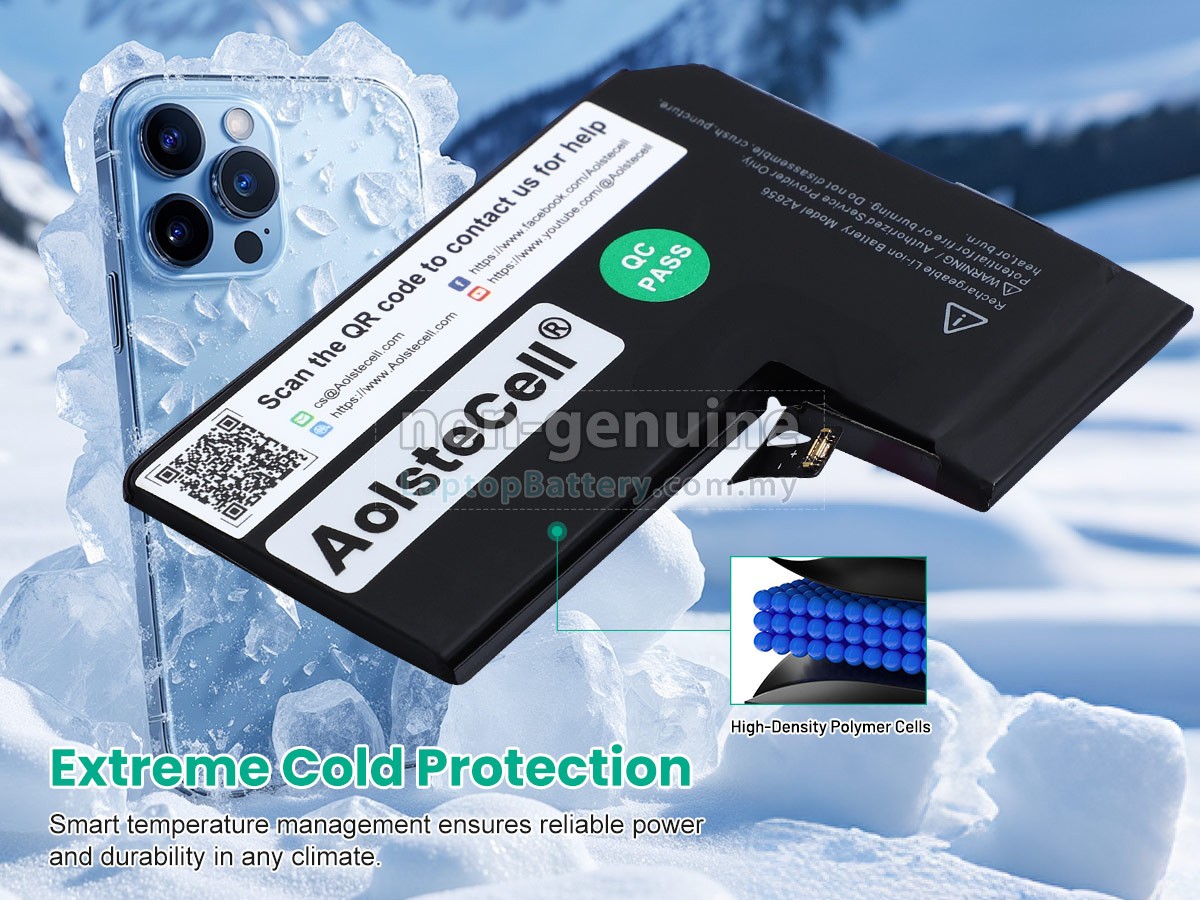 Apple A2656 replacement battery