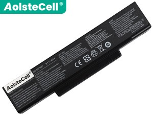 Asus A32-F3 battery