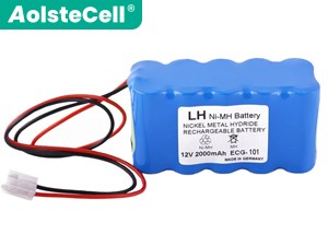 Biocare ECG-300A battery