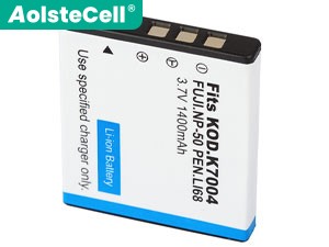 Kodak EasyShare M1033 battery