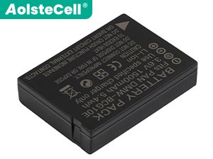 Leica V-Lux 30 battery