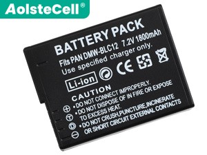 Leica BP-DC12 battery