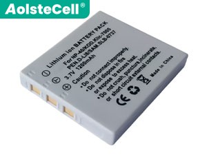 Minolta DIMAGE X1 battery