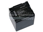 Panasonic CGA-DU07A battery