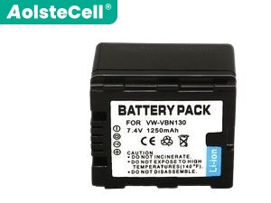 Panasonic HDC-HS900 battery