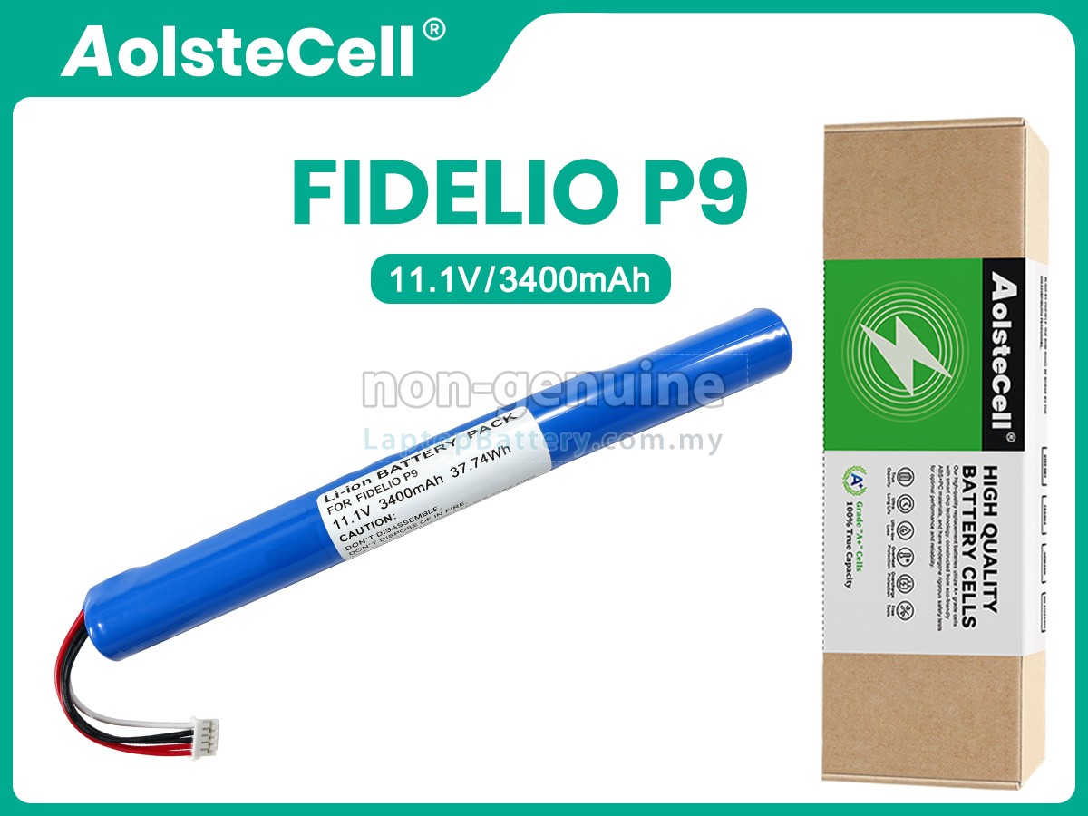 Philips P9BLK/98 replacement battery