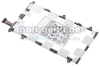 Battery for Samsung GALAXY TAB P6208 laptop