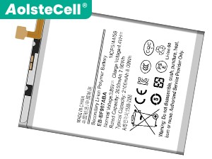Samsung W2020 battery