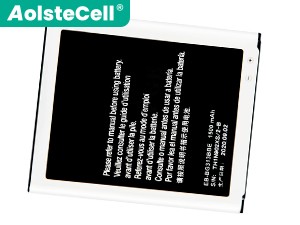 Samsung SM-G318MZ battery