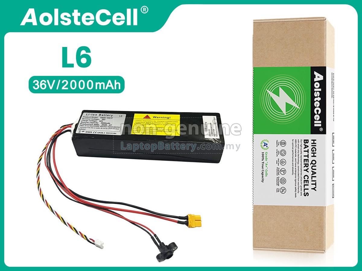 Segway Ninebot 36V L6 ELECTRIC SCOOTER replacement battery