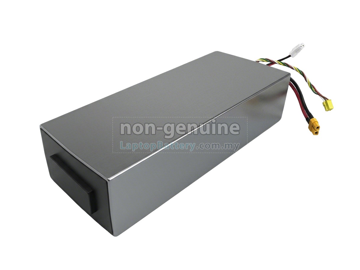 Segway Ninebot H1319-H replacement battery
