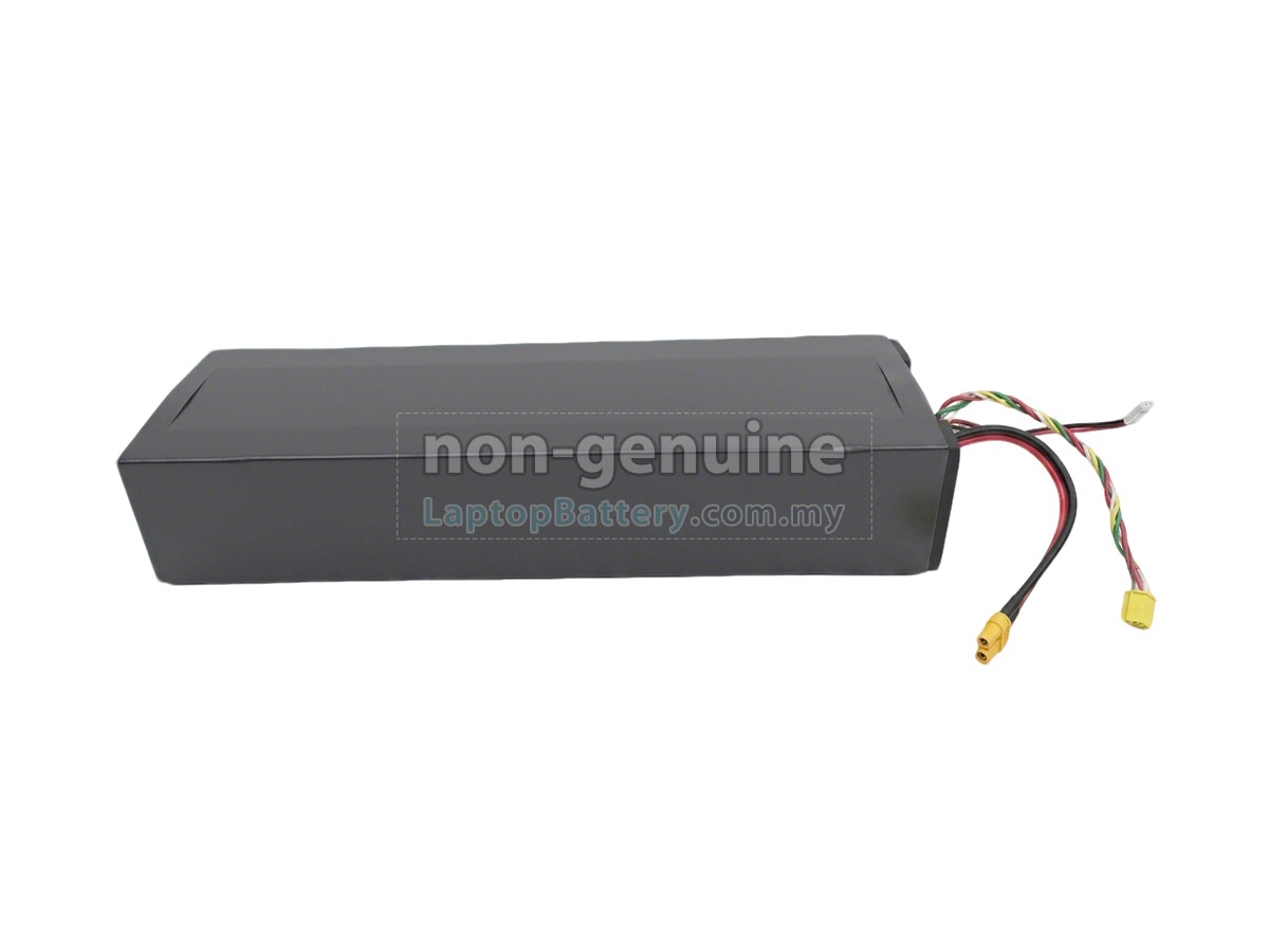 Segway Ninebot H1319-H replacement battery