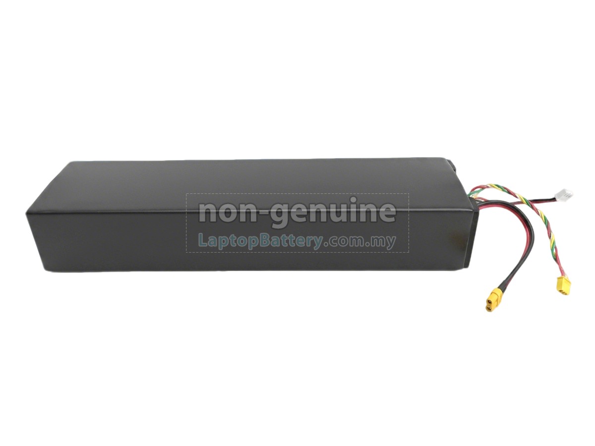 Segway Ninebot H1319-H replacement battery