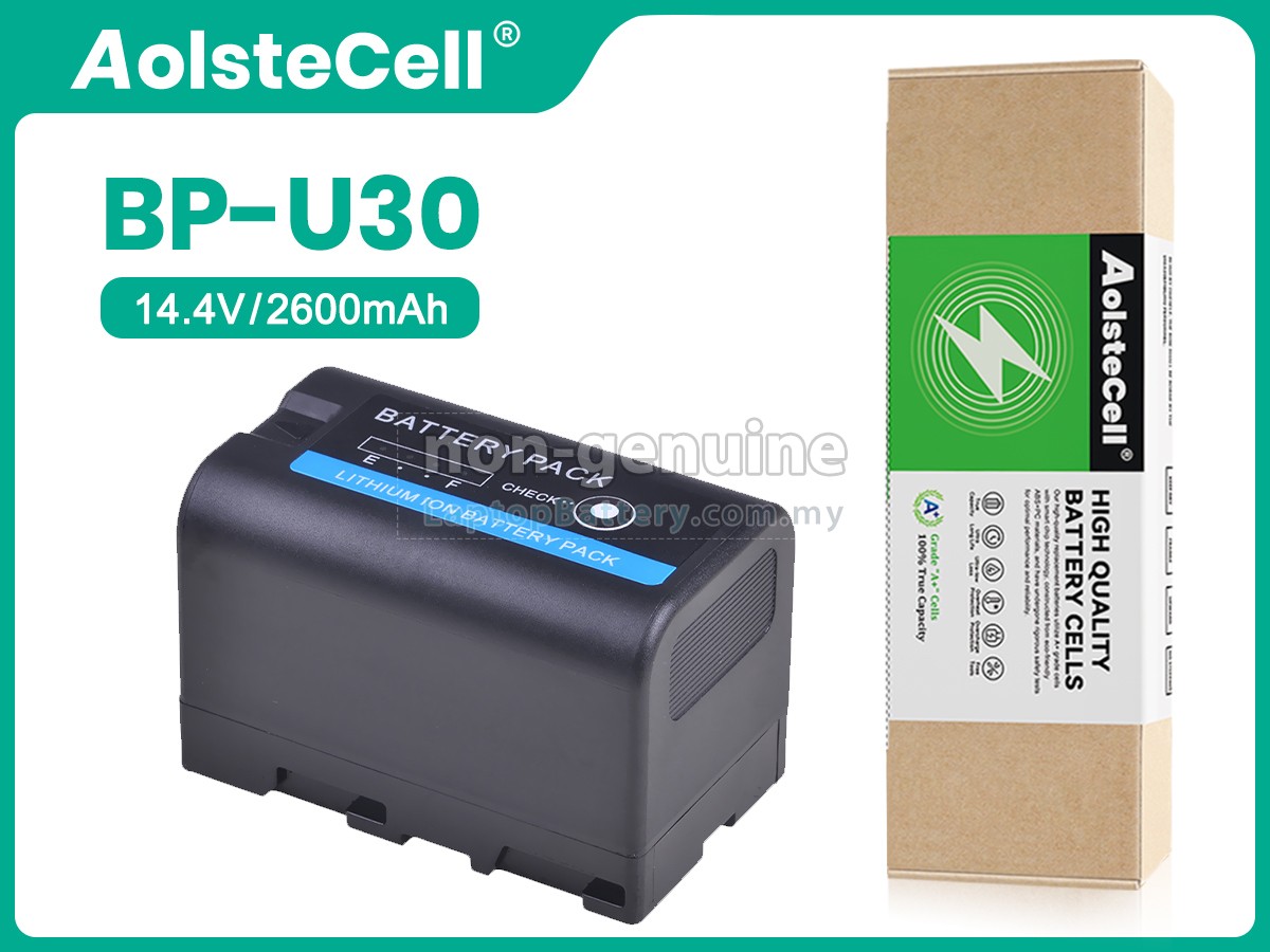 Sony BP-U30 replacement battery