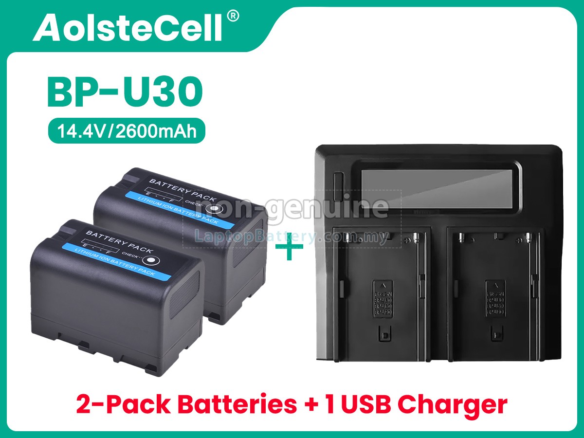 Sony BP-U30 replacement battery