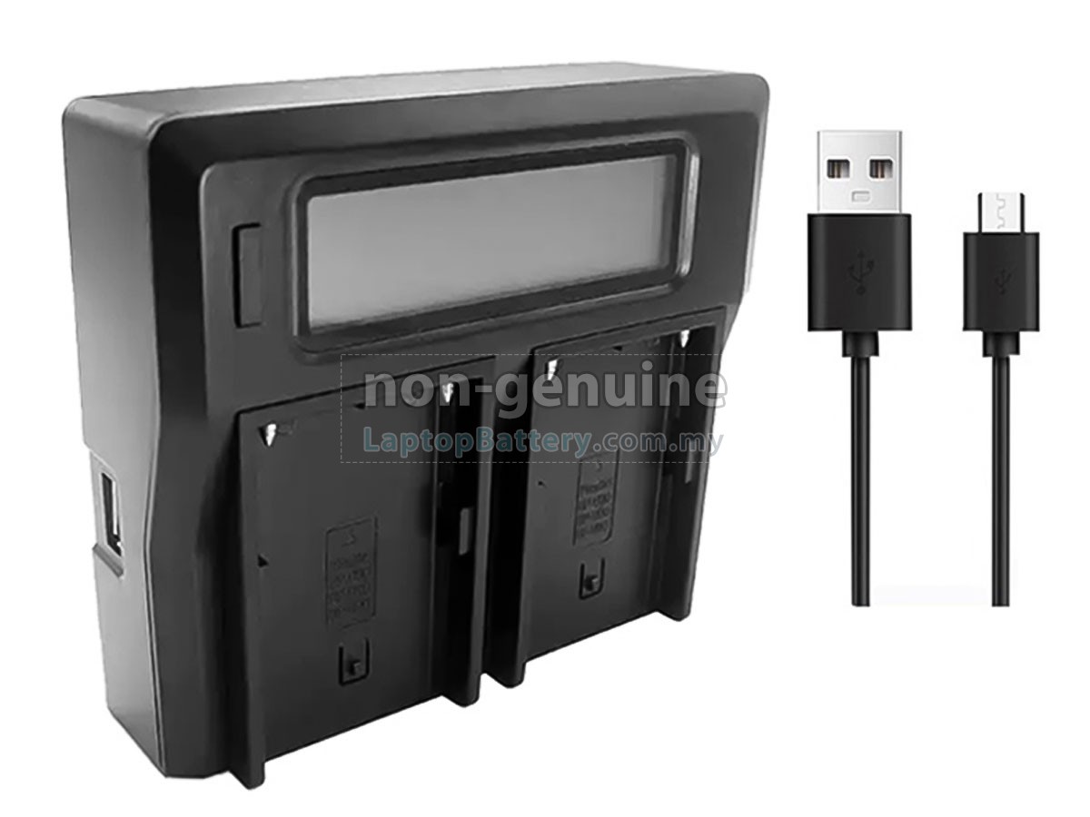 Sony BP-U30 replacement battery