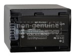 Sony NP-FH100 battery