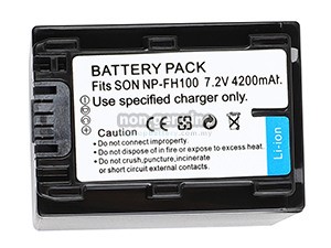 Sony DCR-SR80 battery