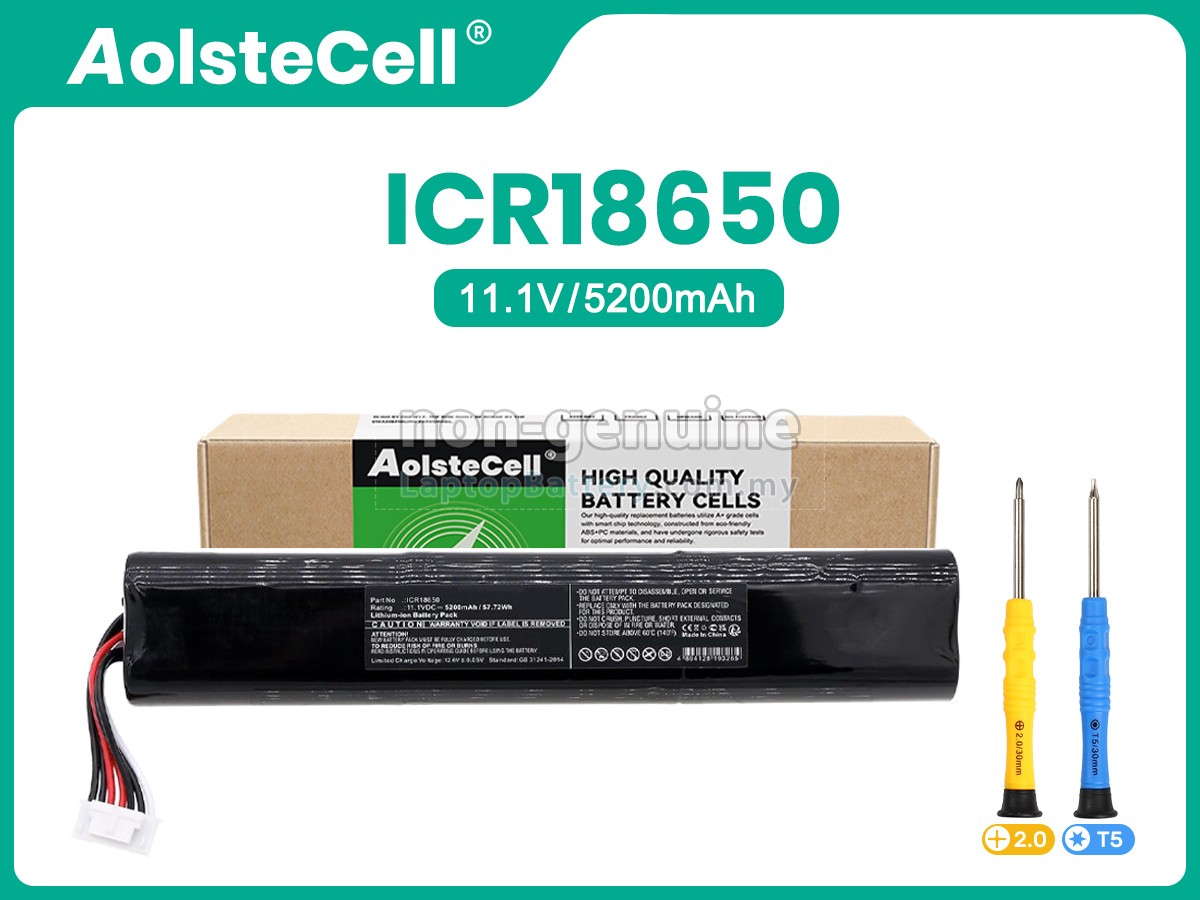 Teufel BOOMSTER 2020 replacement battery