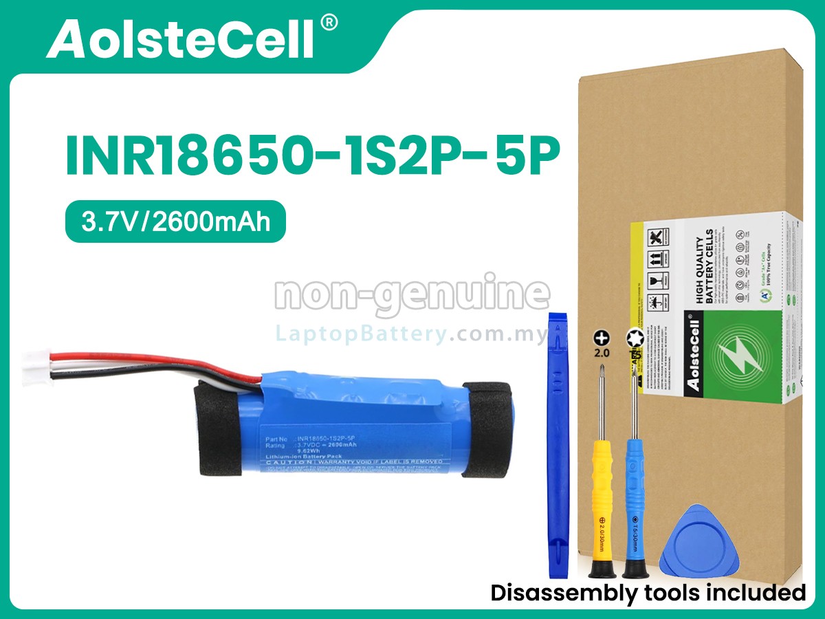 Teufel BOOMSTER GO replacement battery