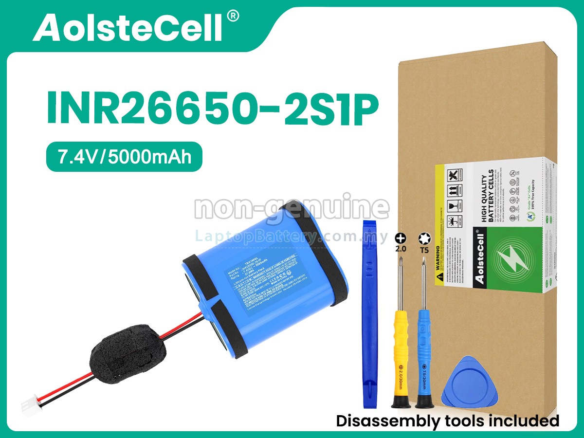 Teufel ROCKSTER XS 2016 replacement battery